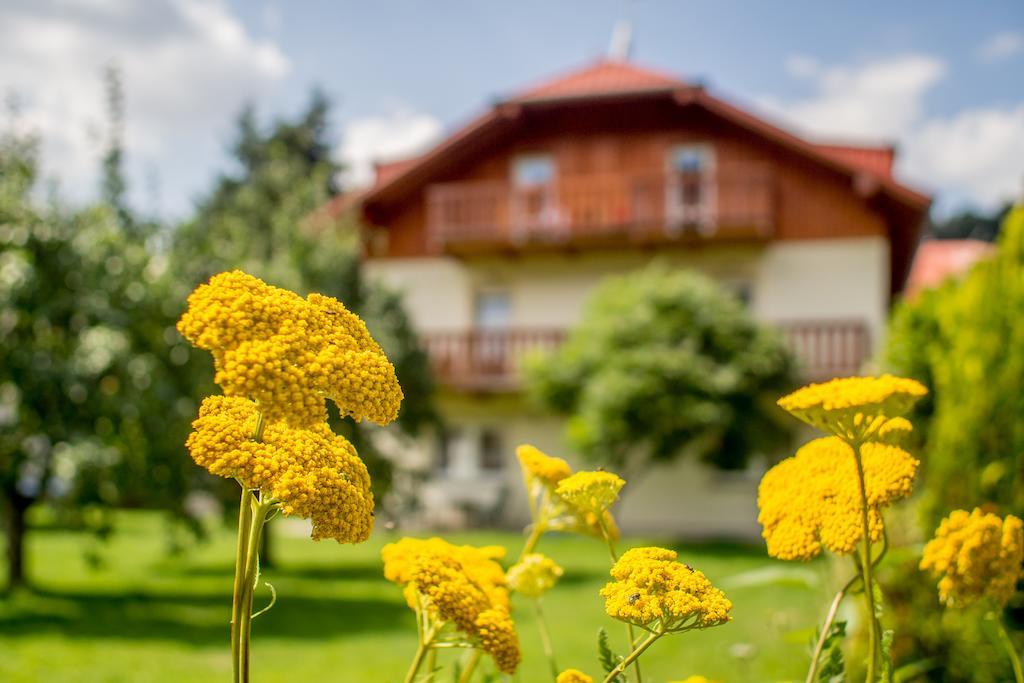 Pension Rieger Radošov 외부 사진
